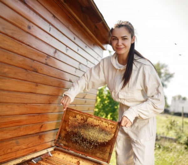 young-female-beekeeper-pulls-out-from-hive-wooden-frame-with-honeycomb-collect-honey-beekeeping-concept_105751-1570